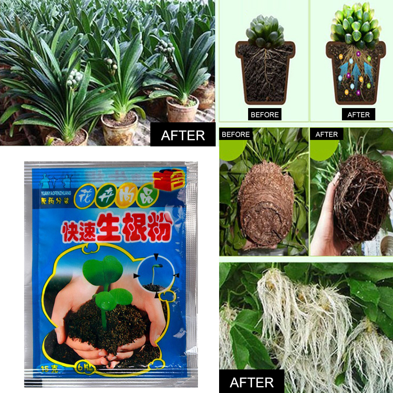 Fast Rooting Powder Plant Rapid Growth Root Medicinal Transplant Plant Growth Extra Fast Germination Vigor Aid Fertilizer TSLM1