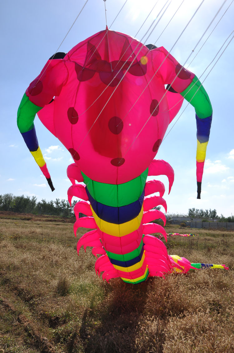 12m Caterpillar soft inflatable kite pendant for audlts outdoor fun large kite line laundry for free shipping