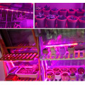 USB LED Plant Grow Light Strip Fitolampy Grow Lights For Indoor Plant Flower Seedling For Hydroponic Greenhouse Seedlings