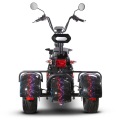 Adult Electric Three Wheel Tricycle With Long Endurance Dual Disc Brake Large Motor Aluminum Alloy Wide Tire