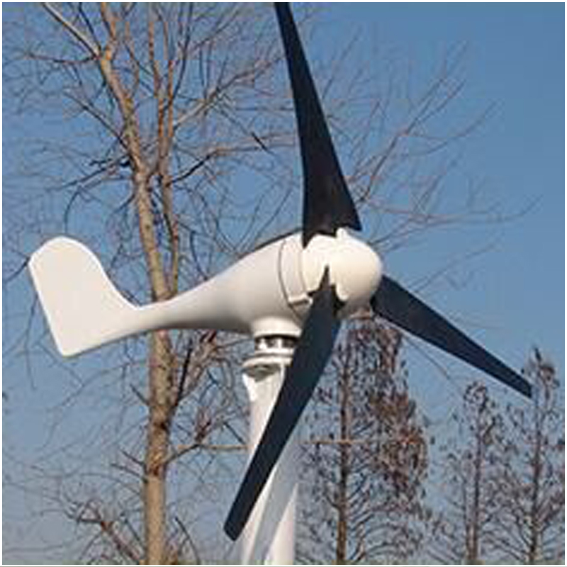 Small Wind Turbine Machine 300W 220V Household Wind And Solar Hybrid Street Light NE-300S Wind Turbine Machine