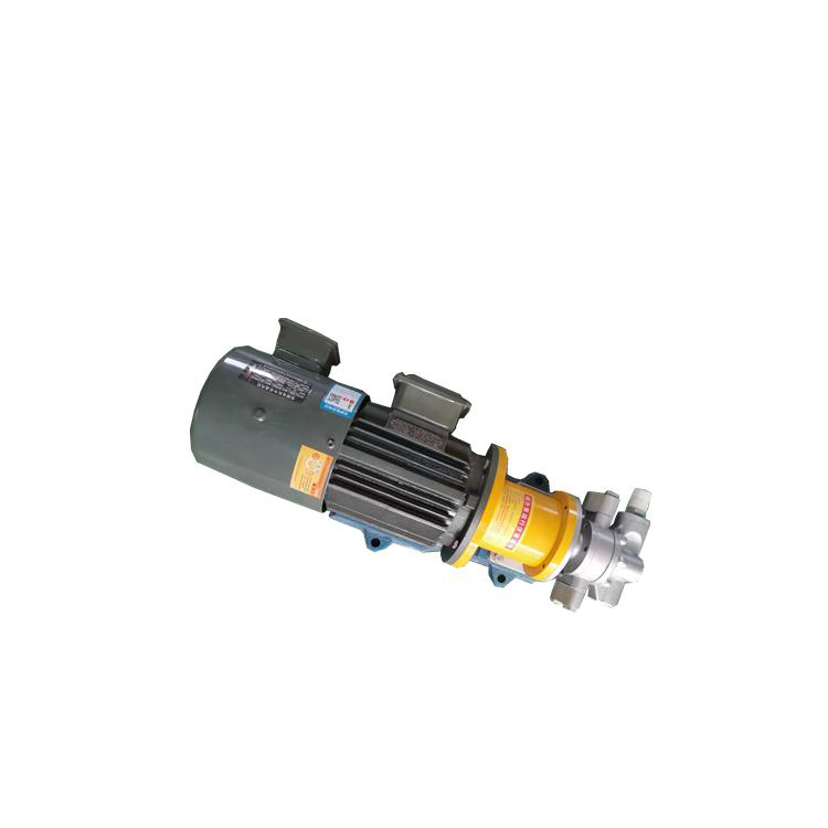 Stainless Steel Gear Pump Magnetic Pump Leak Free Gear Pump3