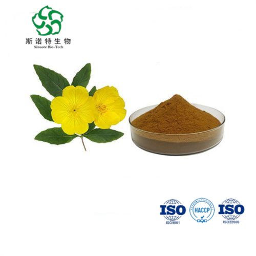 Hot Selling Evening Primrose Extract Powder for Sale, Offer Hot Selling Evening Primrose Extract Powder