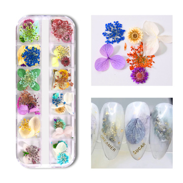 1box Mixed Dried Flowers Nail Art Decoration Natural Floral Sticker 3D Dry Beauty Nail Art Decal Jewelry Nail art Decor