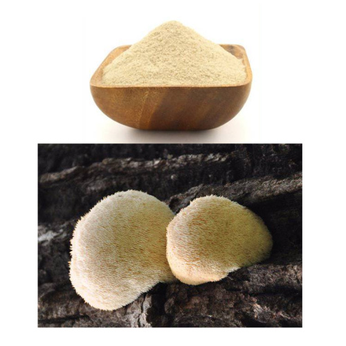 Herbal Extract Hericium Erinaceus Mushroom Extract Powder for Sale, Offer Herbal Extract Hericium Erinaceus Mushroom Extract Powder