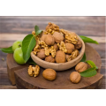 100% Raw walnut for export