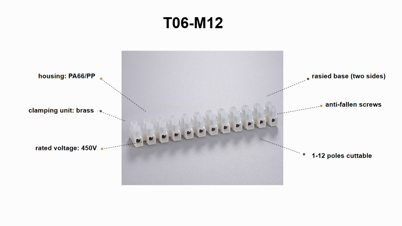 T06-M12