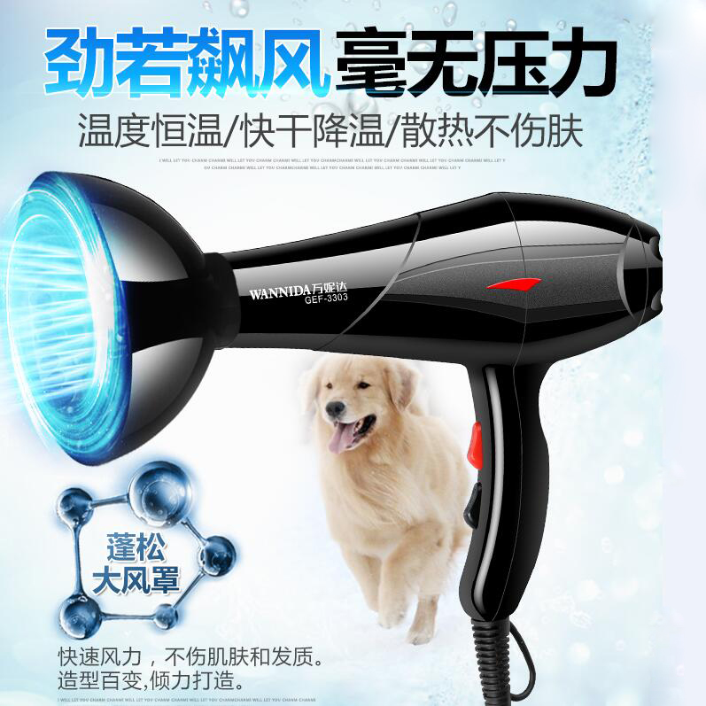 3200W Professional Pet Hairdryer Blowing Machine High Power Mute Dog Hair Dryer Golden Hair Teddy Cat Hair Blower Heater
