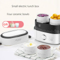 Electric Lunch Box Food Warmer Small Portable Rice Cooker Mini Cooking Appliance Hot Dish Cooking Thermal Cooker Lunch Warmer