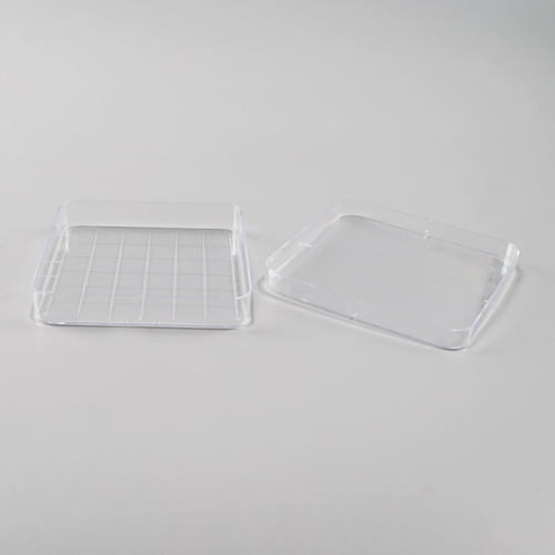 Best Square Petri Dish, 100 x 100mm with Grid Manufacturer Square Petri Dish, 100 x 100mm with Grid from China