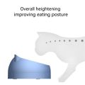 Cute Cat and Dog Bowl Protection Cervical Vertebra 15 Degree Oblique Mouth Pet Stainless Steel Food Bowls 16.5 x 10 cm