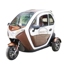 Fully Enclosed Electric Adult Tricycle Three Wheels Passenger Vehicles Tuk Tuk Car with Lithium Battery Custom Logo