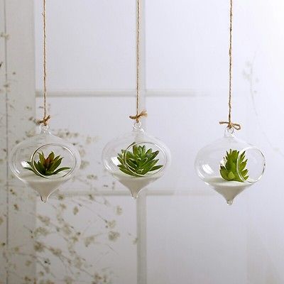 Hanging Ball Glass Flower Planter Vase Terrarium Container Landscape Bottle