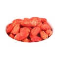 Freeze-dried Goji Berries  Lycium Barbarum Medlar