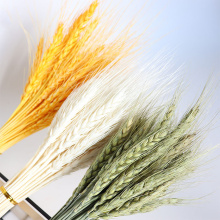 50Pcs Grain Wheat Ears Natural Dried Flowers Wheat Bedroom Living Room Decoration Bouquet Decoration Shooting Props