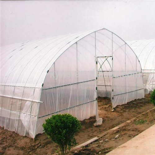 Galvanized Frame Single span PE Film greenhouse Manufacturers and Galvanized Frame Single span PE Film greenhouse Suppliers