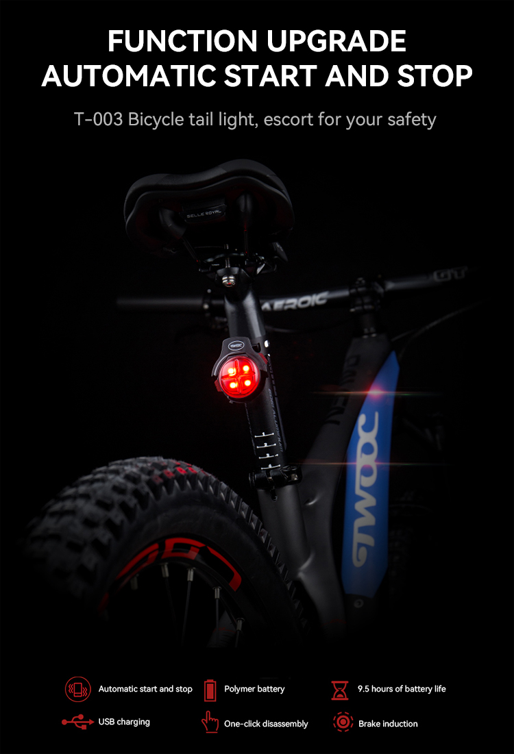 Bike Taillight Waterproof Riding Rear light Led USB