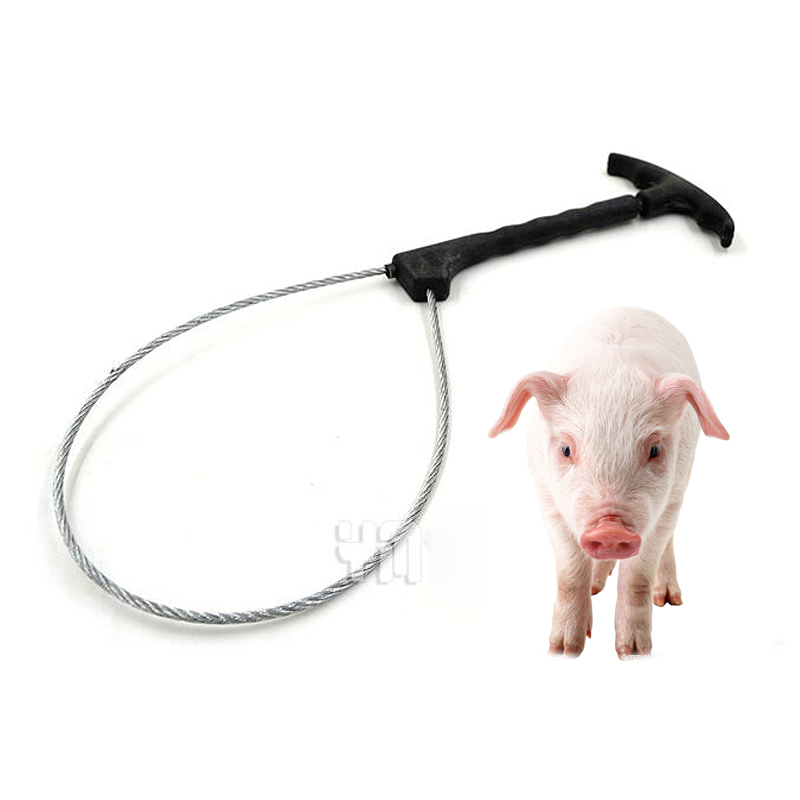 Stainless Steel Wire Catch Pigs Lasso, Quality Steel Wire Tying Tools, Animal Husbandry, Pig Farming Pig Lasso Equipment