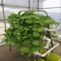 Indoor Garden Grow Kit Hydroponics Planting Growing System