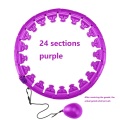24 sections purple