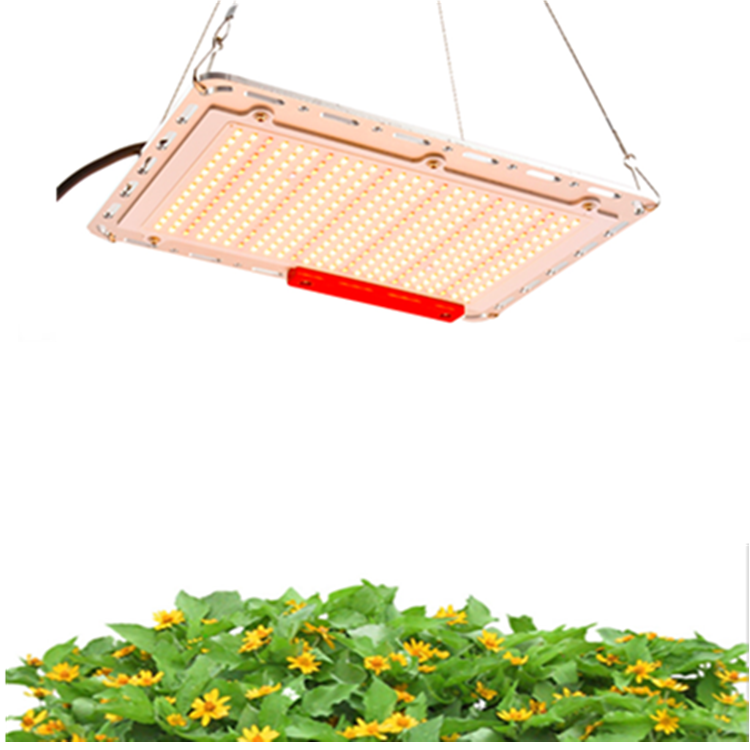 Newest Horticulture 120W high effciency Grow Lights