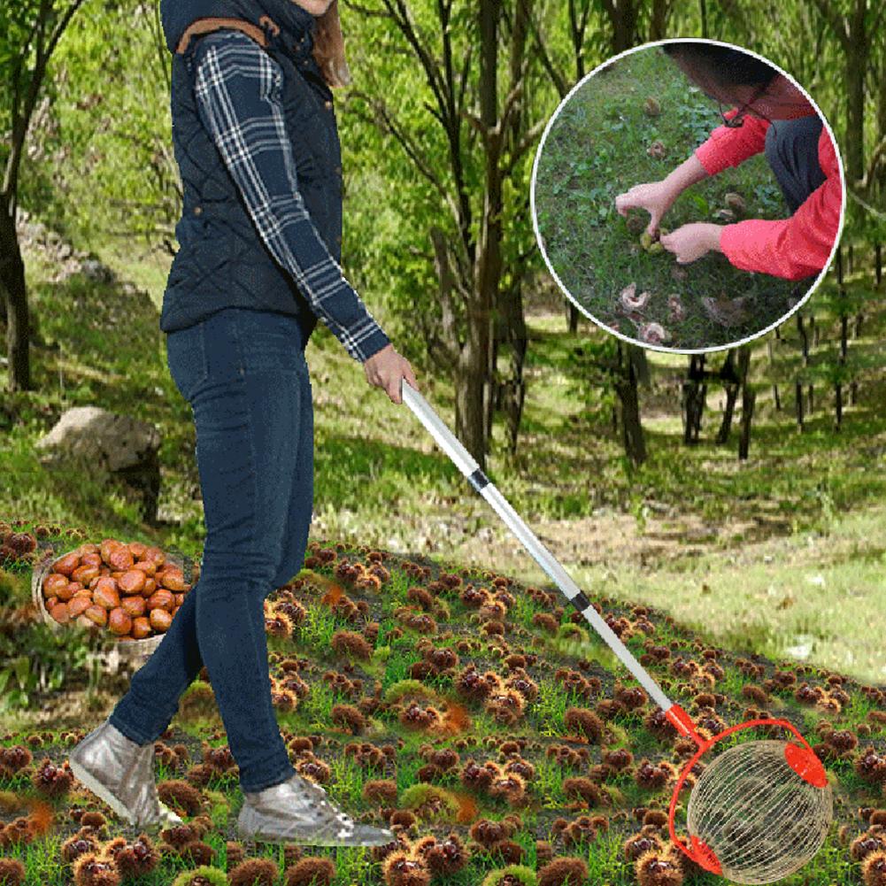 Garden Fruit Picker Chestnuts Harvester Long Retractable Aluminum Alloy Boom Golf Balls Fruit Walnut Catcher Picking Tool