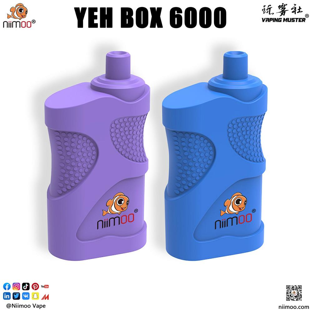 Box E Cigarette 6000 Puffs