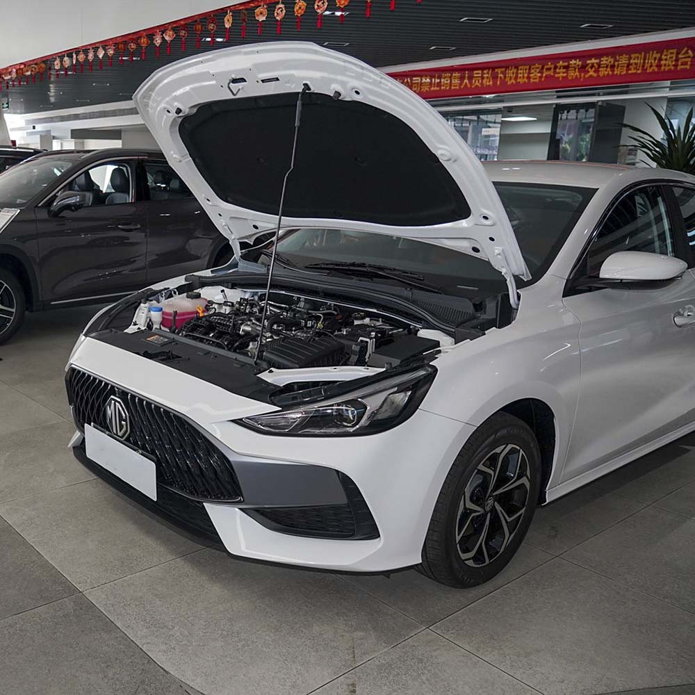 MG5  (6)