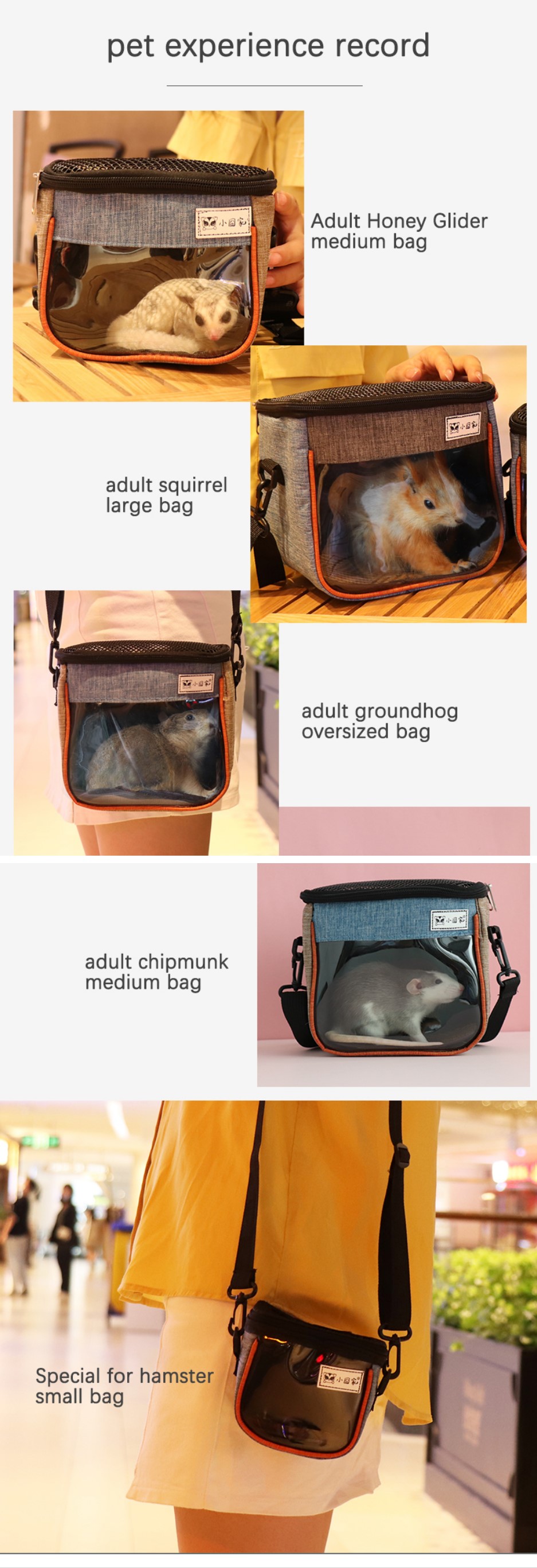 Pet Travel Carrier