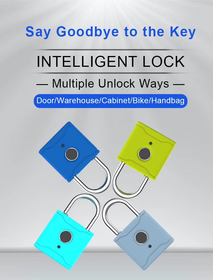 14 tt Padlock