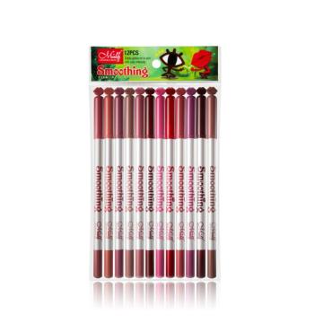 12 Colors/Set Lip Liner Pen Sexy Matte Lip Stick Long Lasting Pigments Lipliner Portable Makeup Tools Kits TSLM2