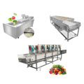 https://www.bossgoo.com/product-detail/fruit-washing-equipment-fruit-cleaner-machine-63443285.html