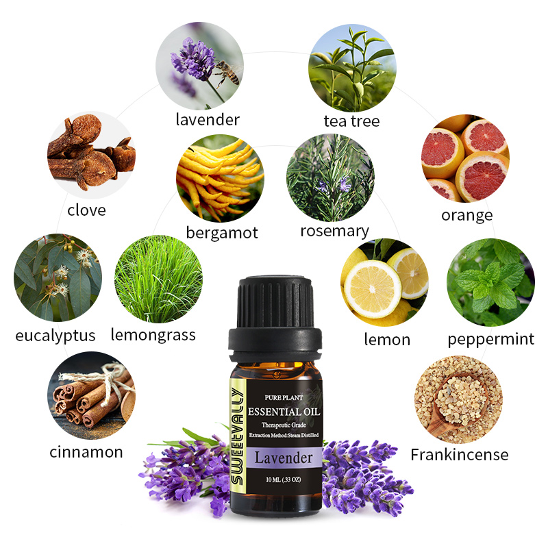 Hot Sale 100% Pure Natural Essential Oils 10ml Glass Bottle Pure Plant Essential Oils For Aromatic Aromatherapy Diffusers