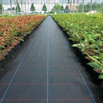 Pp Woven Weed Mat Weed Barrier Fabric China Manufacturer