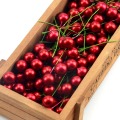30pcs Silver Pearl Plastic Stamens Bead Artificial FlowerSmall Berries Cherry for Wedding Christmas Cake Box Wreaths Decoration