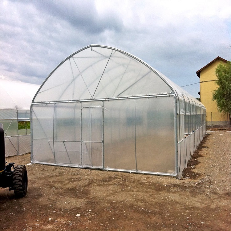 Greenhouse full set vegetables greenhouse strawberry