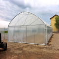 Multi-span Plastic Film Greenhouse Hydroponic Greenhouse