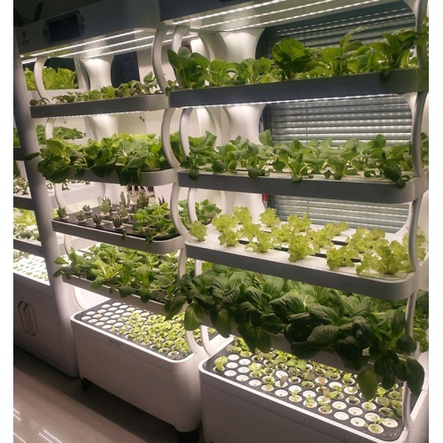 Hydroponic Aquaponics Growing Systems indoor growing Manufacturers and Hydroponic Aquaponics Growing Systems indoor growing Suppliers