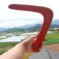 Boomerang V Shaped Throwback Toy Flying Wood Disc Funny Interactive Family Throw Catch Outdoor Fun Game Funny Game Gift Kids NEW