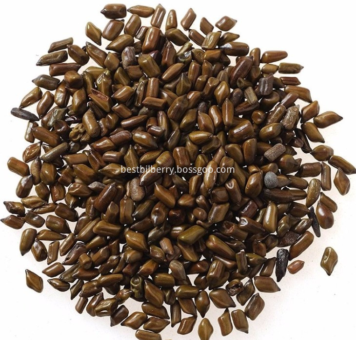 cassia seed extract