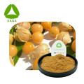 https://www.bossgoo.com/product-detail/lantern-fruit-physalis-alkekengi-extract-powder-62471880.html