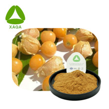 Lantern Fruit Physalis Alkekengi Extract Powder