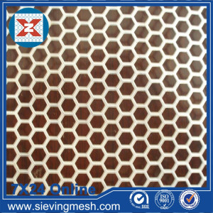 Hexagonal Hole Perforated Mesh