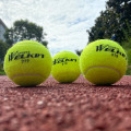 WILKIN 919 Professional Tennis Balls Competition Training Tennis Balls High Elastic Resistance Sports Tennis Ball 3 Pcs in a box