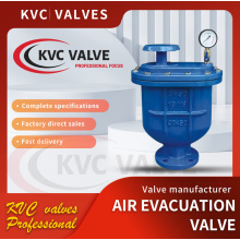 DN15-100 Composite exhaust valve