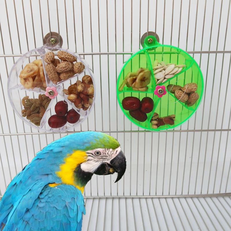 Bird Creative Foraging Toy Cage Feeder Treat Holder Seed Food Ball Rotate Wheel for Parrot Parakeet Cockatiel Conure