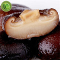 Organic Whole Shiitake Mushrooms