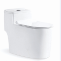 Modern Siphonic One Piece Toilet In White