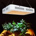 Indoor Greenhouse Plant Growth Full Spectrum Grow Lights