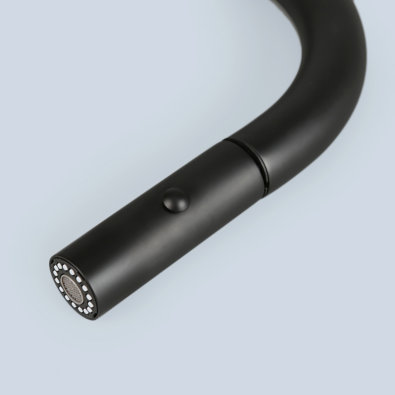 Kitchen Stainless Steel Black Pull Faucet 4